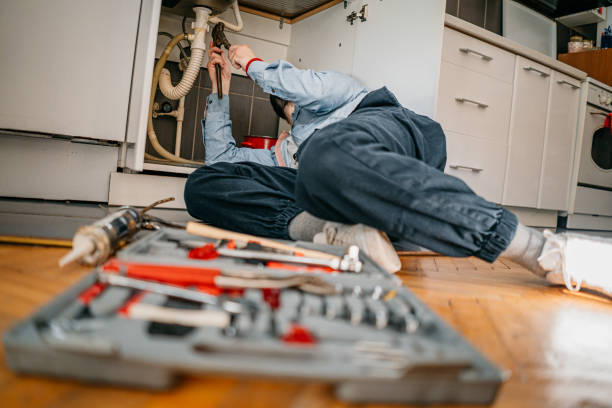 Best Residential Plumbing Services  in Schuylkill Haven, PA