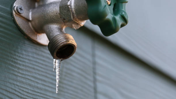 Best Sewer Line Repair  in Schuylkill Haven, PA